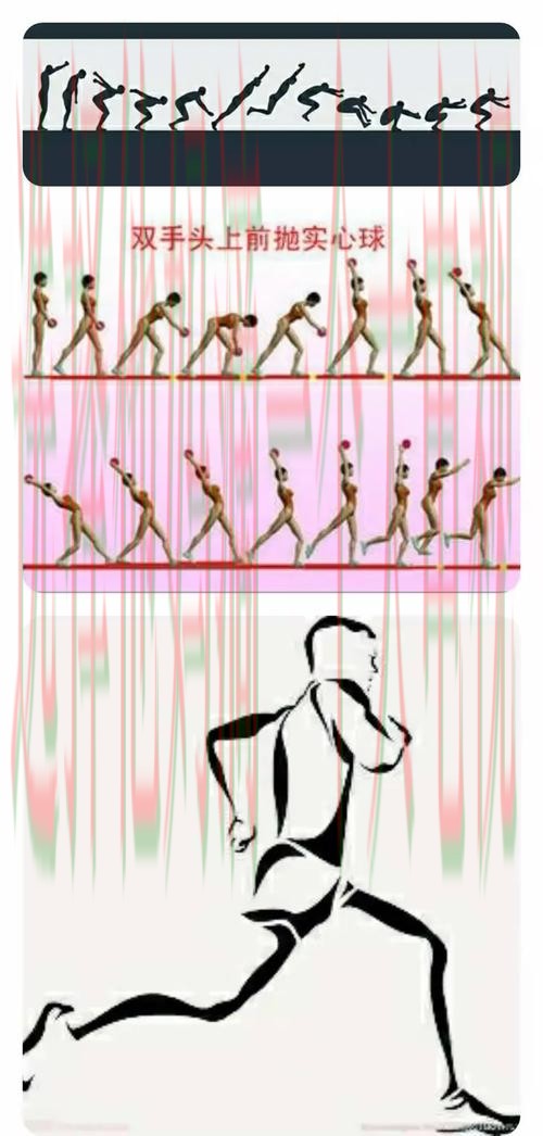 博雅体育登录指南与入口详解